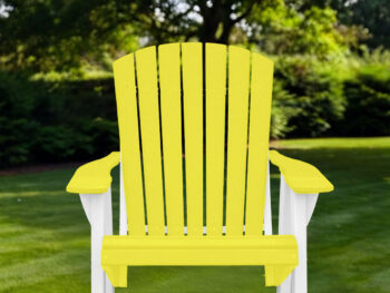 High Adirondacks, yellow